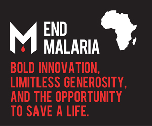end malaria day box
