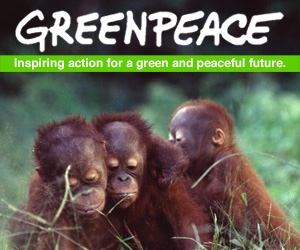 Greenpeace Rectangle
